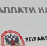 Самозанятым предложено легализоваться. Подмосковье в авангарде процесса - Серп и Молот