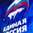 «Единая Россия» добилась принятия закона о защите животных - Единая Россия Клин
