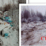 Окраины городского округа Клин очищаются от несанкционированных свалок - Серп и Молот