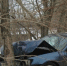 В Клину водитель врезался в дерево - Серп и Молот