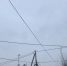 Электросети в СНТ будут переданы МОЭСК - Серп и Молот