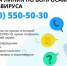 "Горячая линия" по коронавирусу в Подмосковье принимает звонки - Серп и Молот
