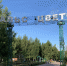 вальс цветов1.jpg - Серп и Молот