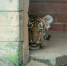 0615f3ef-dae6-430f-b648-850fba5c04a6.jpg - Серп и Молот
