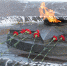 гвоздики.jpg - Серп и Молот