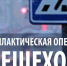 Клинская Госавтоинспекция проводит мероприятие «Пешеход». - ТВ Поиск