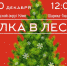 Финальный аккорд года в фестивальной «симфонии» г. о. Клин. - ТВ Поиск