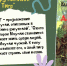 Книги о тиграх и тигрятах - Детская библиотека им. А.П. Гайдара