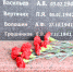 Петербуржцы посетили Мемориал Славы в Клину - Серп и Молот