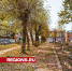 Новую пешеходную зону благоустроят на Советской площади в Клину - Regions.Ru