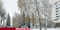Более 80 дворников расчистили улицы Клина от снега - Regions.Ru