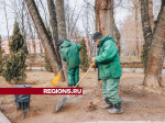 В Сестрорецком парке Клина навели порядок у амфитеатра