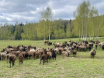 Фото: городская доска объявлений