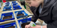В Сестрорецком парке открыли общественный огород в четвертый раз - Regions.Ru
