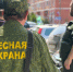 Лесники провели более 100 рейдов в самом большом лесничестве Подмосковья - Regions.Ru