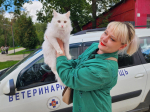 В Сестрорецком парке можно бесплатно привить питомца от бешенства