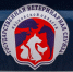 Животные клинского приюта получают прививки от заболеваний без стресса - Regions.Ru