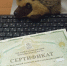 Образование — в приоритете: как семьи Клинского округа распорядились региональным маткапиталом в 2025 году - Regions.Ru